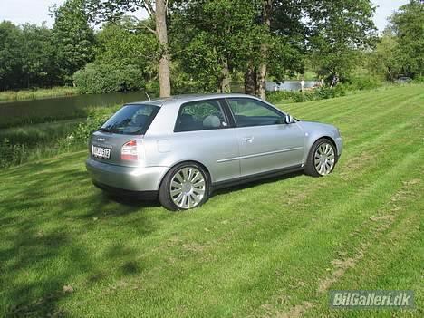 Audi A3 SOLGT - Efter lakforsegling billede 11