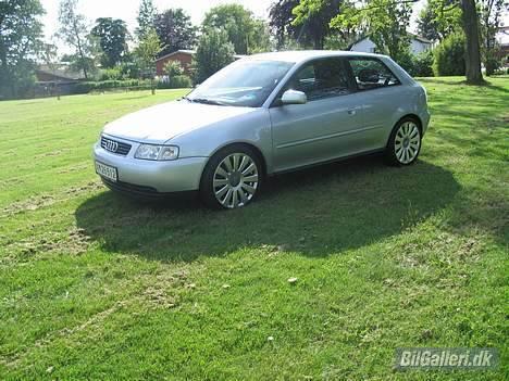 Audi A3 SOLGT - Efter lakforsegling billede 12