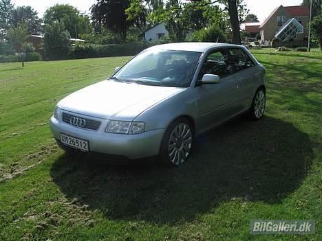 Audi A3 SOLGT - Efter lakforsegling billede 13