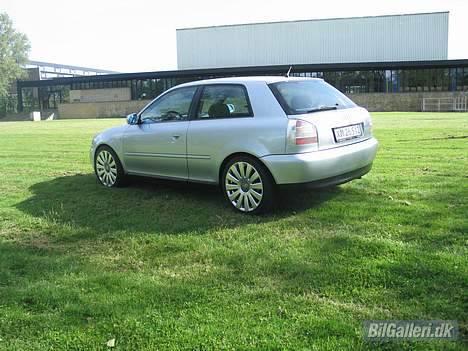 Audi A3 SOLGT - Efter lakforsegling billede 14