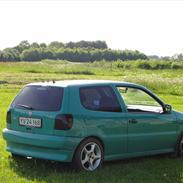 VW Polo 6N