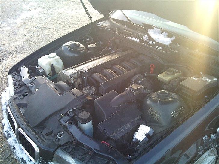 BMW E36 320 billede 14