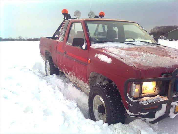 Nissan king cab solgt billede 15