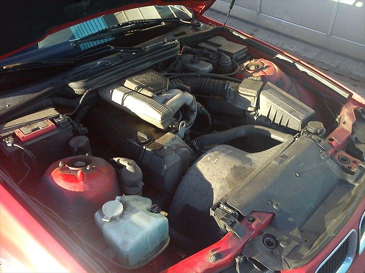 BMW E36 318i  billede 8