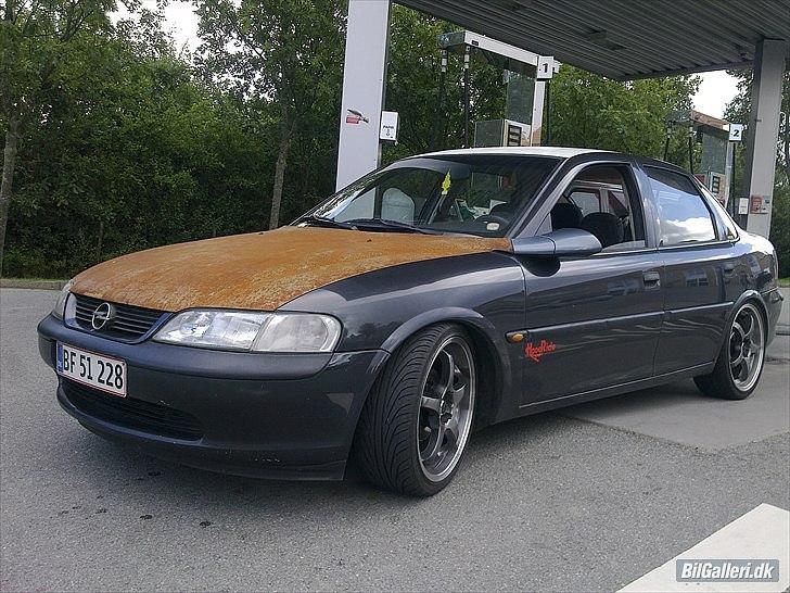 Opel vectra b 1,6 16v - som den så ud inden lakering billede 7