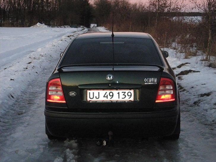 Skoda octavia tidligere bil billede 4