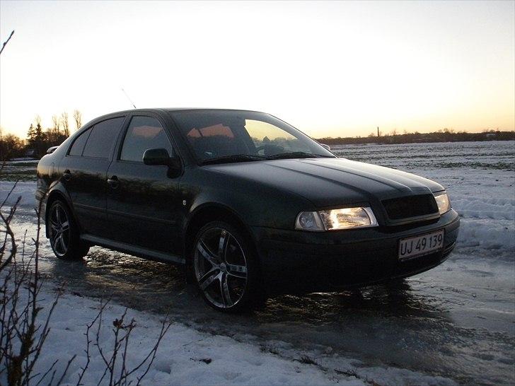 Skoda octavia tidligere bil billede 5