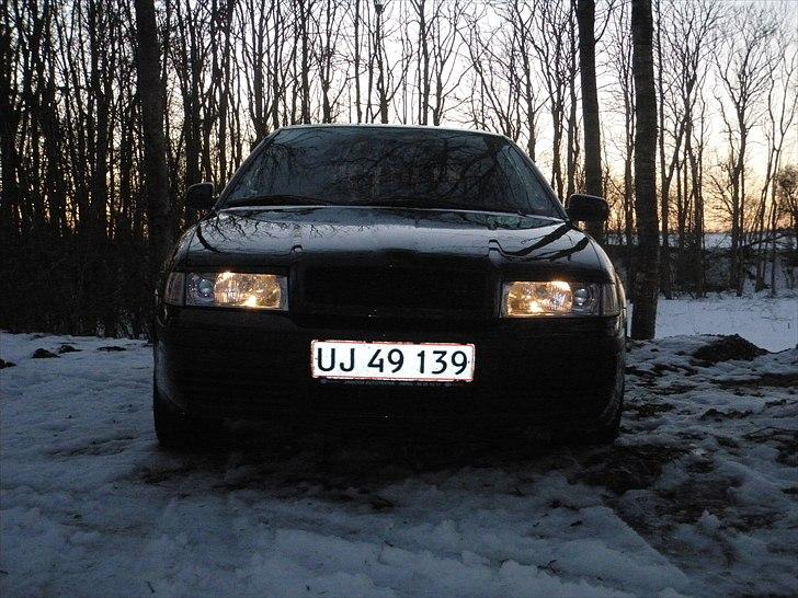 Skoda octavia tidligere bil billede 8