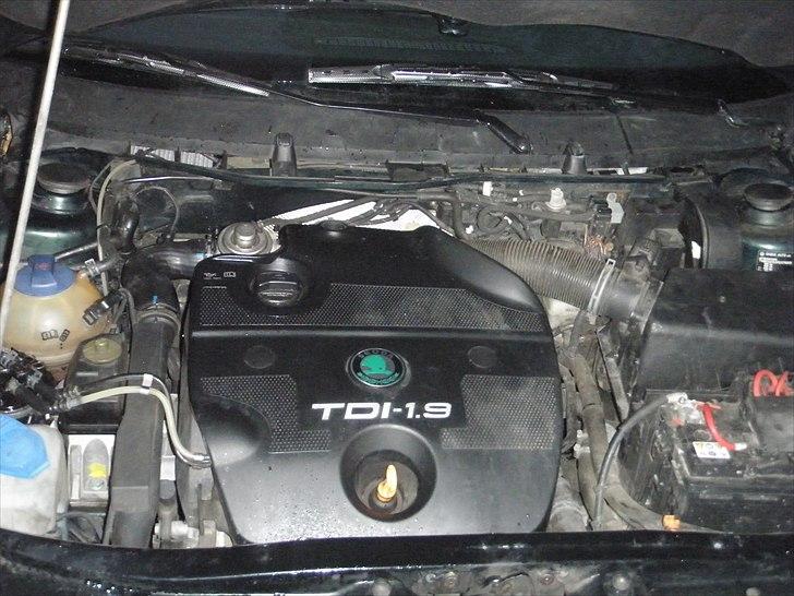 Skoda octavia tidligere bil billede 13