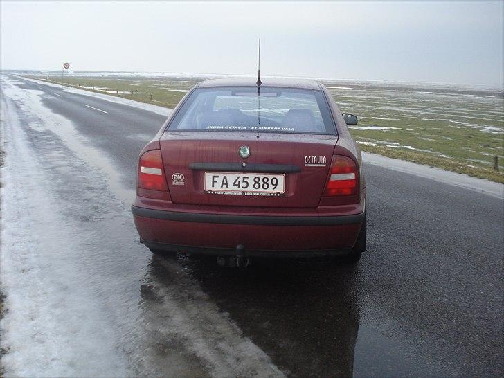 Skoda octavia billede 10