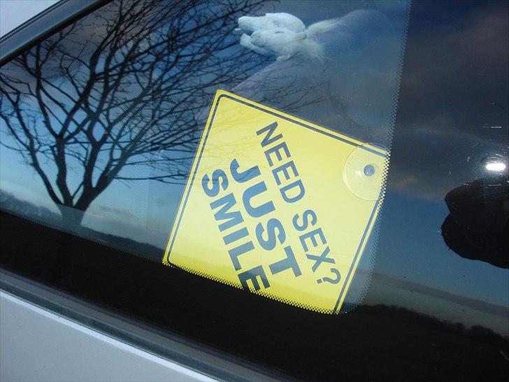 Nissan 100NX TULLE-PIGEN billede 8