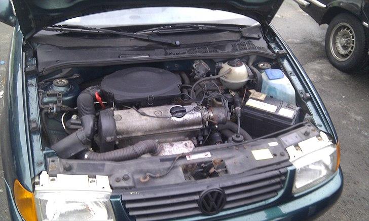 VW polo 6n billede 11