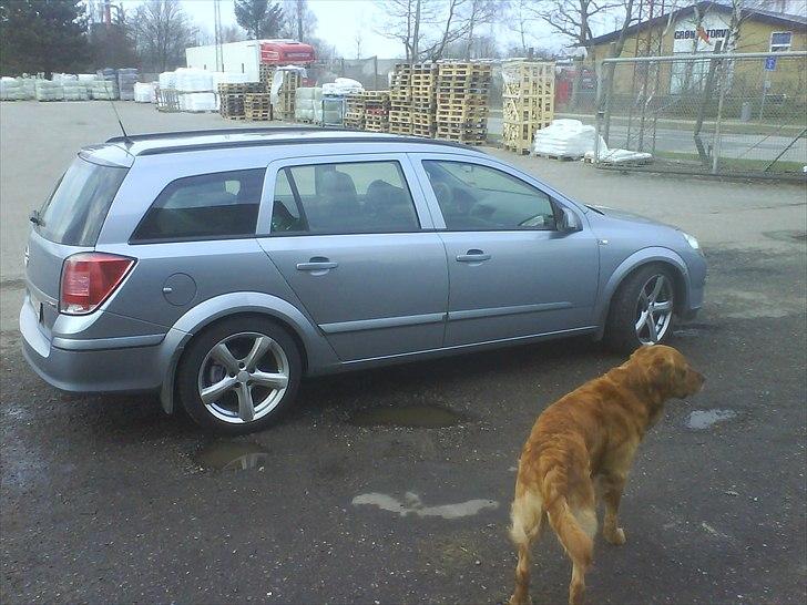 Opel Astra H 1,7 cdti (de gamles) - Den "store" vagthund  billede 4