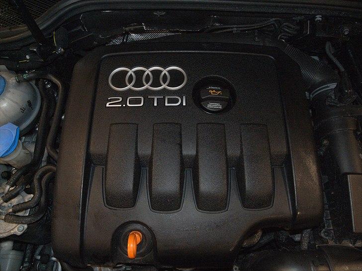 Audi A3 / S3 billede 16