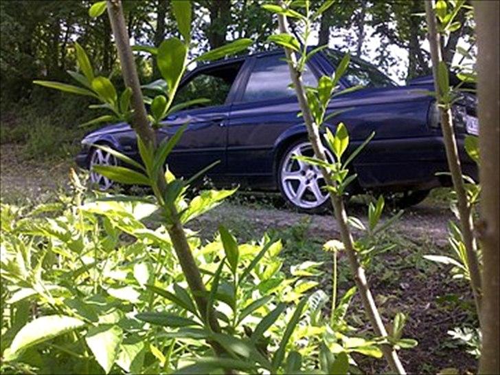 BMW e30 325i  *SOLGT* billede 1