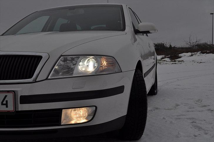 Skoda octavia 2.0 tdi elegance billede 1