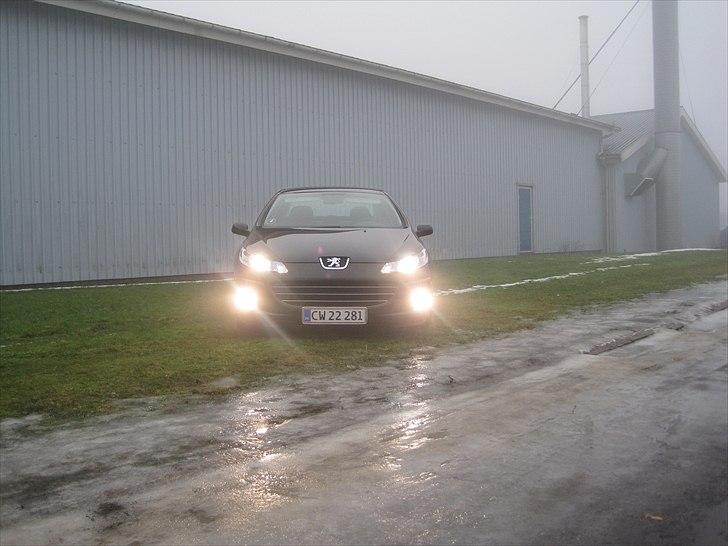 Peugeot 407 billede 10