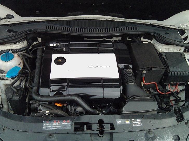 Seat Leon Cupra billede 18