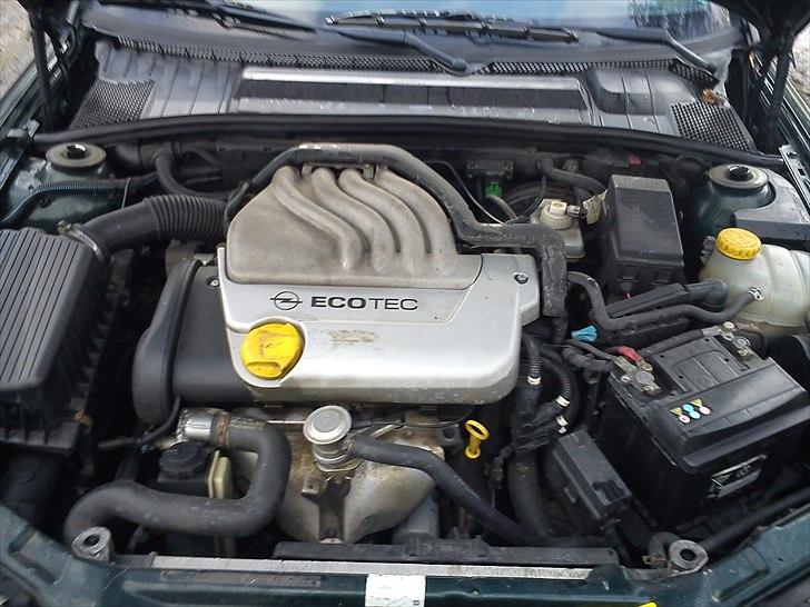 Opel vectra b billede 5