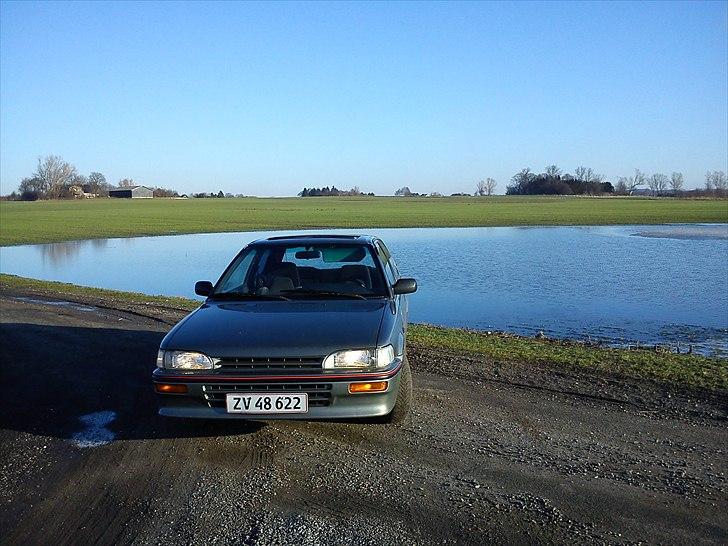 Toyota Corolla  - Fra siden med lettere toned bagrude . billede 1