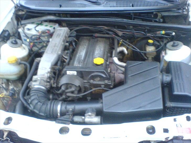 Ford Sierra 2.0 DOHC  SOLGT! billede 5