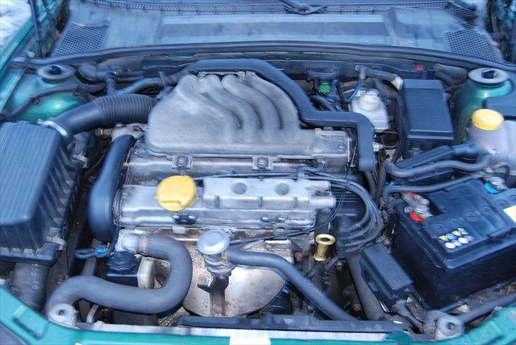 Opel Vectra B =SOLGT= billede 10