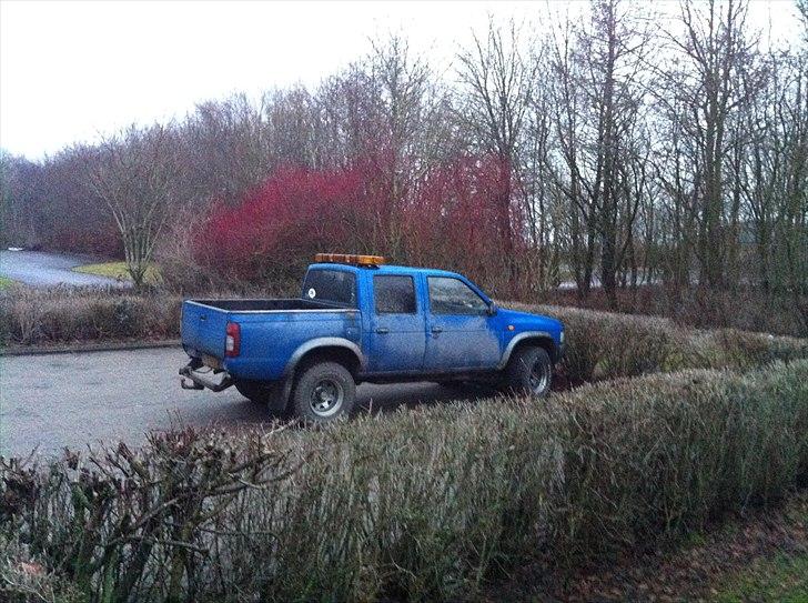 Nissan king cab 2.5td byttet billede 1