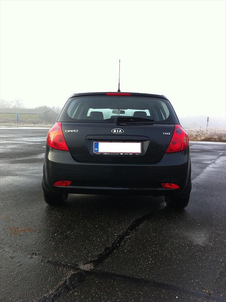 Kia Ceed 1.6 CRDi Sport billede 5