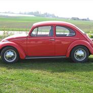 VW Bobbel