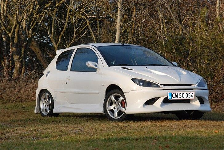 Peugeot 206 GTI billede 1