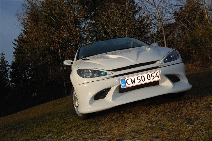 Peugeot 206 GTI billede 9