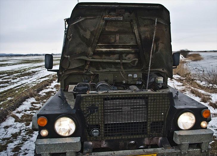 Land Rover 88 Light weight  " SOLGT" - Sandy i sne på en motorvejs bro i nørresundby billede 7