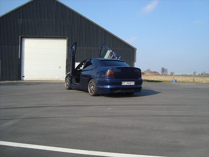 Opel Vectra B lambo billede 10