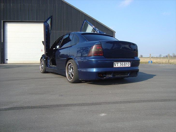 Opel Vectra B lambo billede 11