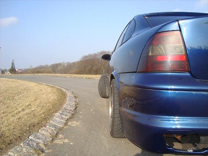 Opel Vectra B lambo billede 14