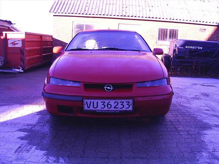 Opel Calibra coupe billede 2