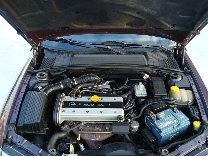 Opel Vectra B 2.0 16v  billede 13