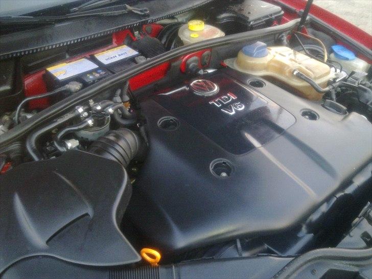 VW Passat V6 TDI billede 11