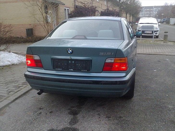 BMW 318i bavaria  billede 6