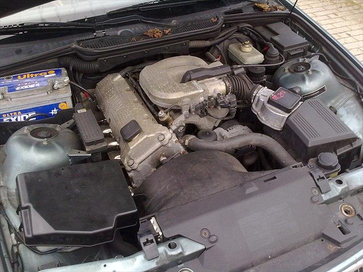 BMW 318i bavaria  billede 10