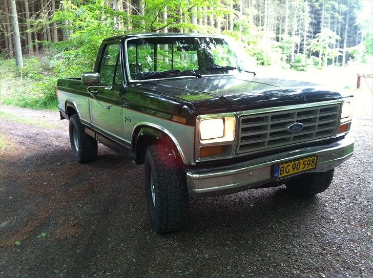 Amerikaner Ford F150 - F150 på skovtur billede 5