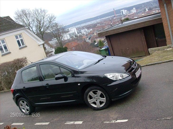 Peugeot 307 2,0 Se (Griffe) billede 18