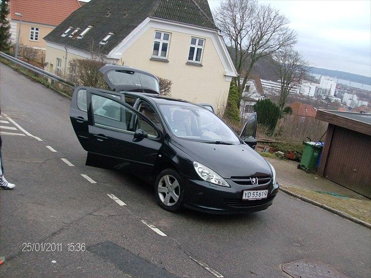 Peugeot 307 2,0 Se (Griffe) billede 2