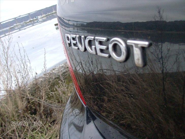 Peugeot 307 2,0 Se (Griffe) billede 7