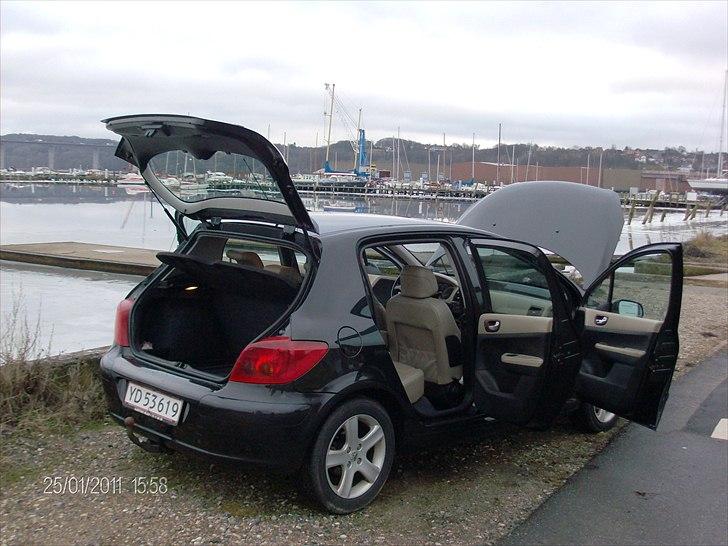 Peugeot 307 2,0 Se (Griffe) billede 11