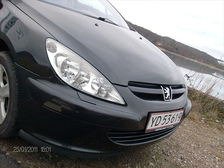 Peugeot 307 2,0 Se (Griffe) billede 14