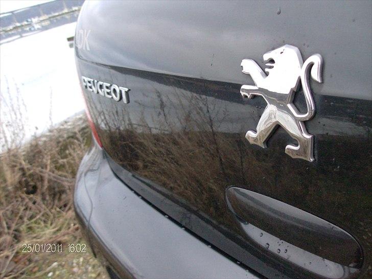 Peugeot 307 2,0 Se (Griffe) billede 16