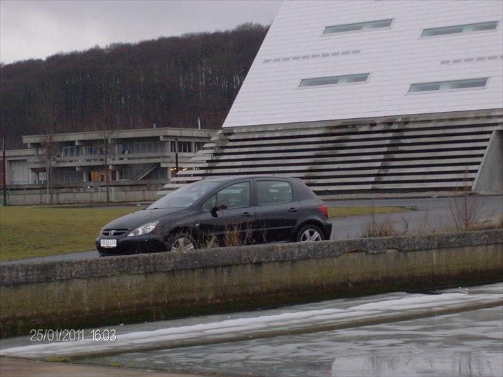 Peugeot 307 2,0 Se (Griffe) billede 17