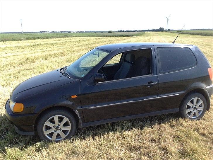 VW polo 6n  billede 4