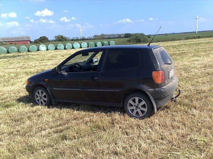 VW polo 6n  billede 6